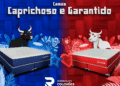 Duas camas, duas paixões: Garantido e Caprichoso